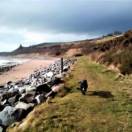 Song Of The Sea, Selkie House Bed & Breakfast Helmsdale Bagian luar foto