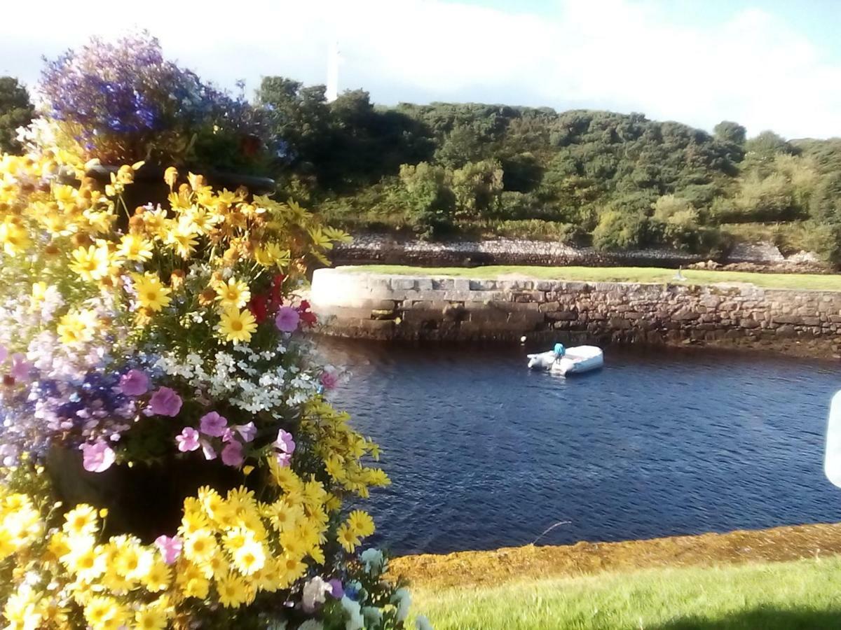 Song Of The Sea, Selkie House Bed & Breakfast Helmsdale Bagian luar foto