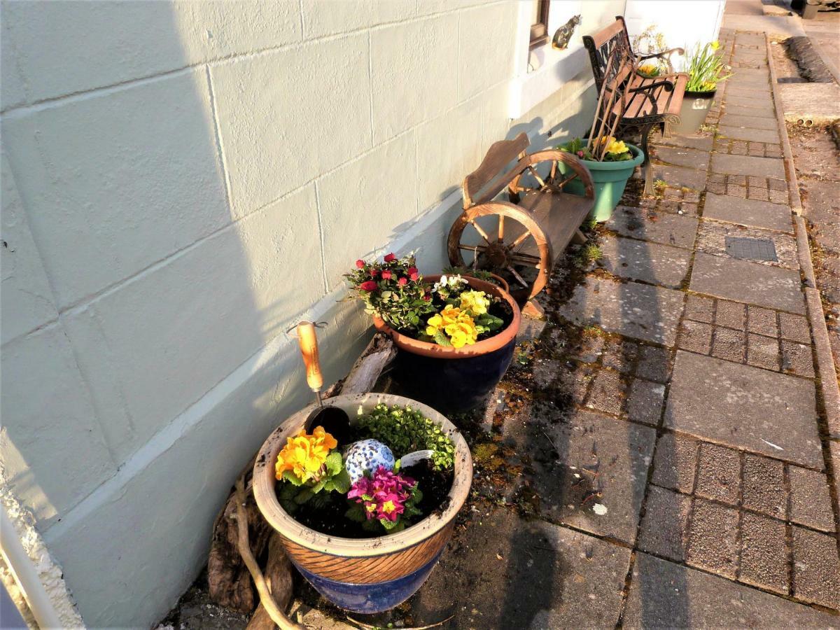 Song Of The Sea, Selkie House Bed & Breakfast Helmsdale Bagian luar foto