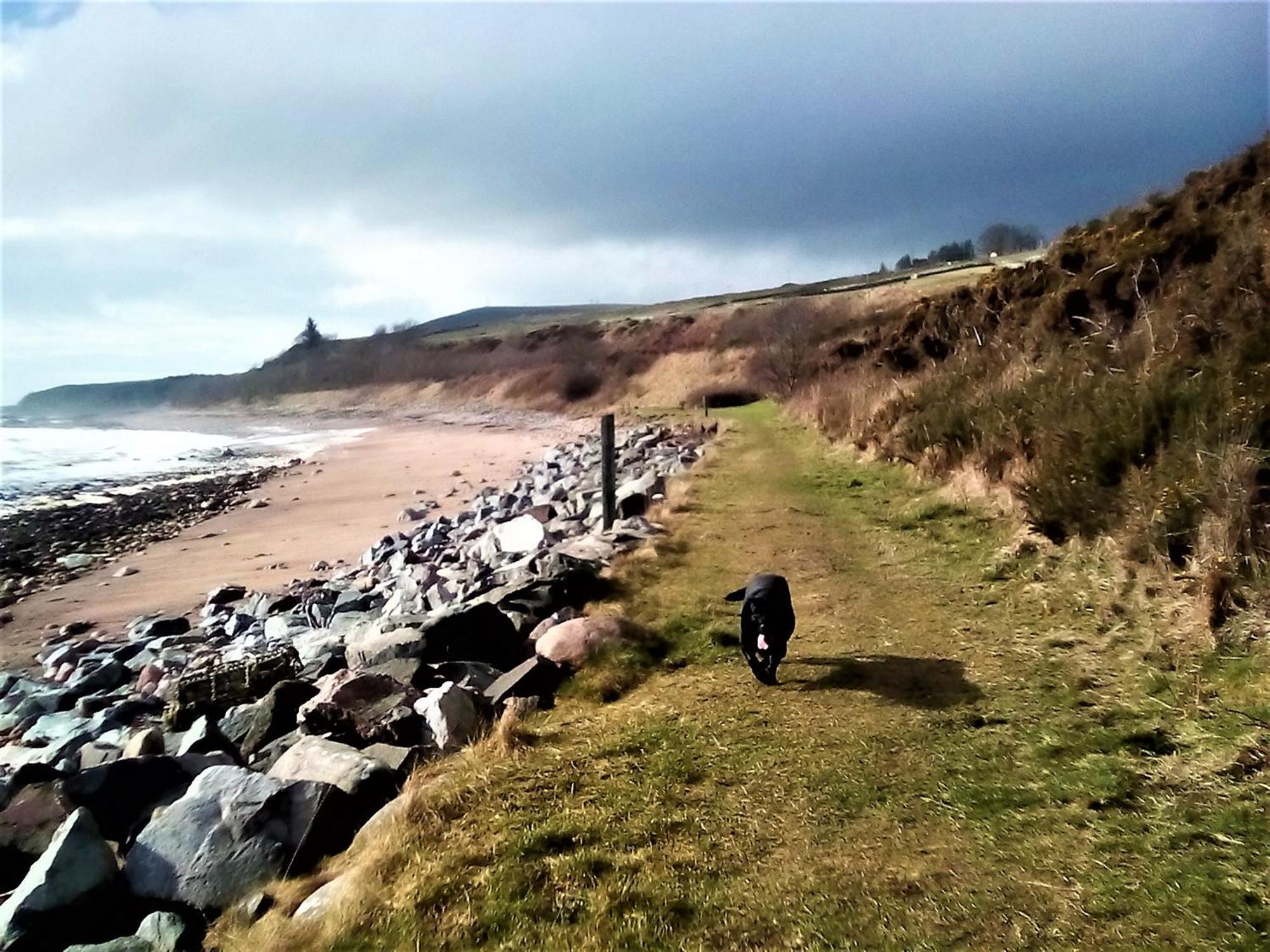 Song Of The Sea, Selkie House Bed & Breakfast Helmsdale Bagian luar foto