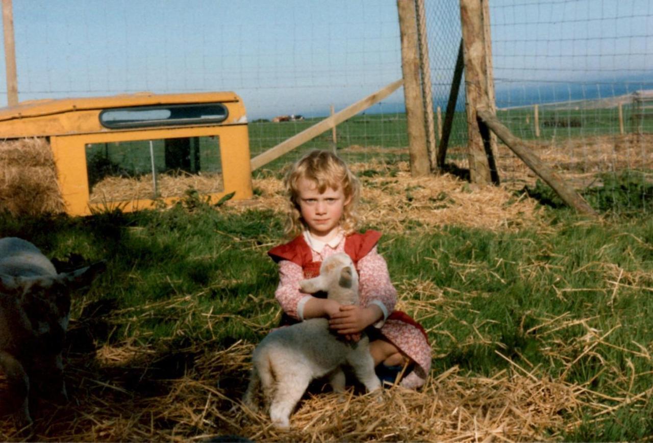 Song Of The Sea, Selkie House Bed & Breakfast Helmsdale Bagian luar foto